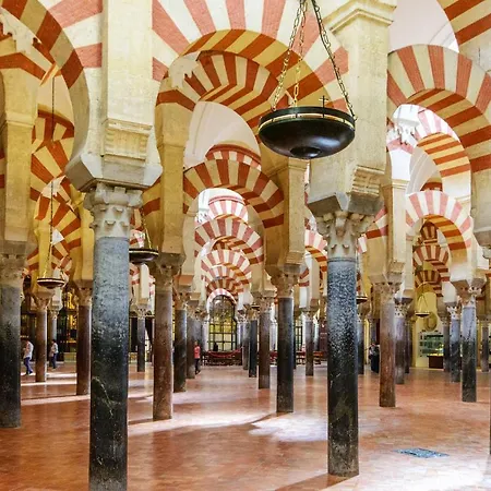 El Olivo Apartamento Córdoba