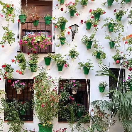 Apartamento El Olivo