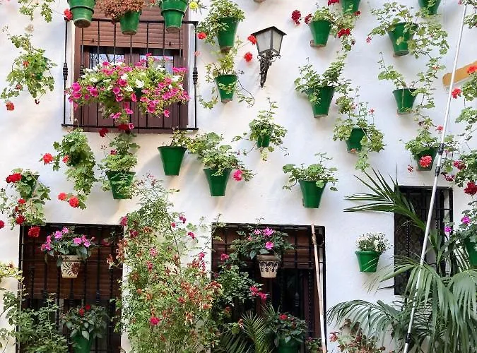 Апартаменти El Olivo